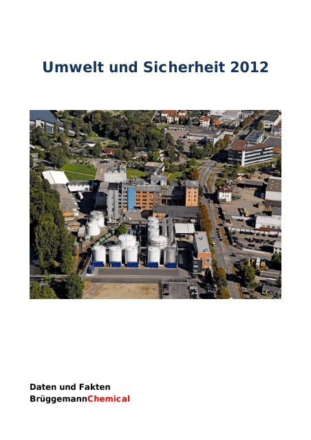 Umweltbericht - L. Brüggemann KG