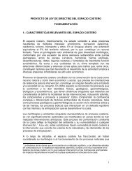FundamentaciÃ³n Proyecto de Ley Directriz Nacional del Espacio