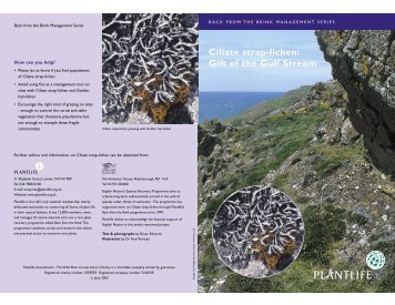 Ciliate strap-lichen: Gift of the Gulf Stream - Plantlife