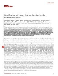 Modification of kidney barrier function by the urokinase receptor