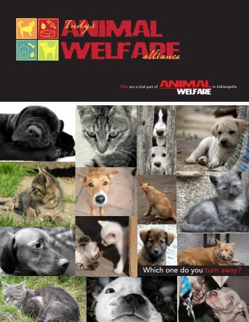 download the Indianapolis Animal Welfare Alliance Executive ...