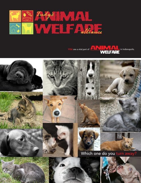 download the Indianapolis Animal Welfare Alliance Executive ...