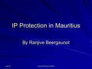 IP Protection in Mauritius