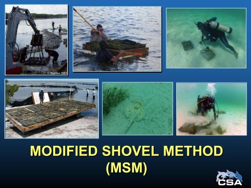 MODIFIED SHOVEL METHOD - Restore America's Estuaries