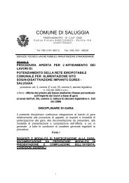 DISCIPLINARE SCHEMA COMPLETO.rtf - Comune di Saluggia