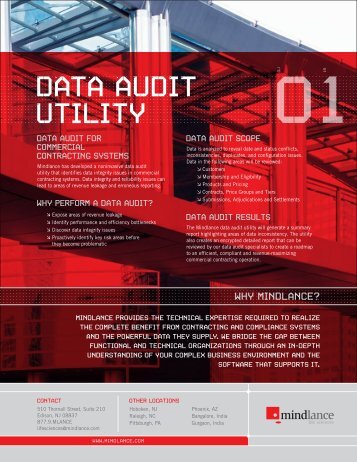 ML Data Audit Utility.pdf - Mindlance