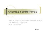 ANEMIES FERRIPRIVES