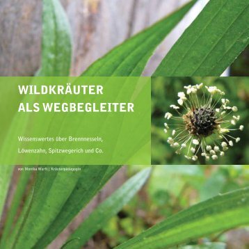 Leseprobe Wildkräuter als Wegbegleiter Monika Wurft.pdf