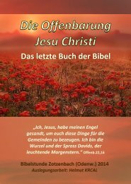 Leseprobe Die Offenbarung Jesu Christi - das letzte Buch der Bibel