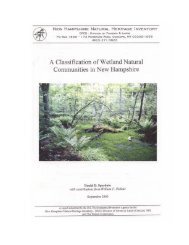 table of contents - New Hampshire Division of Forests and Lands