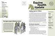 Equine Health Update Vol 5, Issue No. 1 - Purdue University School ...