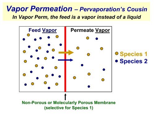 Pervaporation and Vapor Permeation Membrane Systems for ...