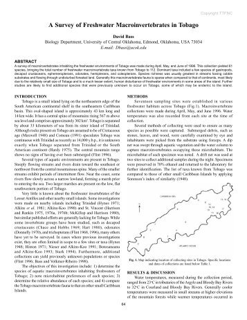 A Survey of Freshwater Macroinvertebrates in Tobago - The Trinidad ...