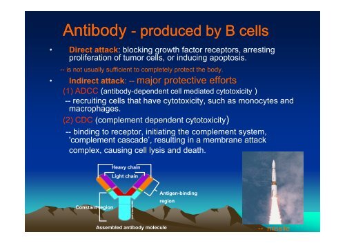 TUMOR IMMUNOLOGY.pdf