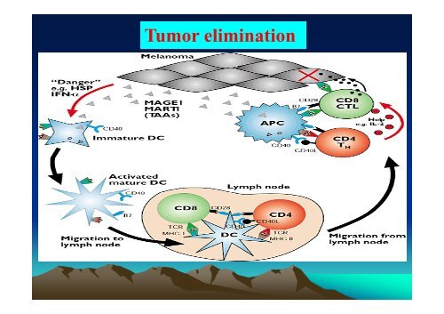 TUMOR IMMUNOLOGY.pdf