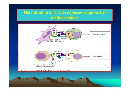 TUMOR IMMUNOLOGY.pdf