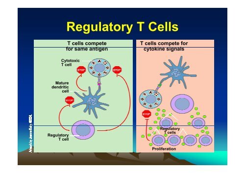 TUMOR IMMUNOLOGY.pdf