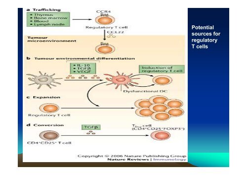 TUMOR IMMUNOLOGY.pdf