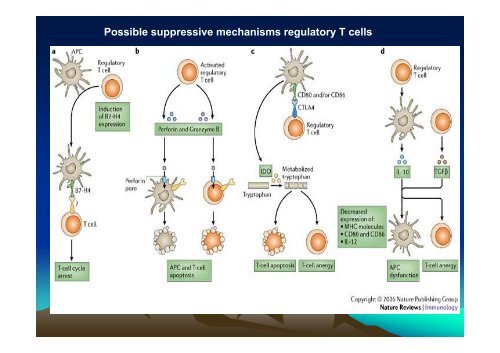 TUMOR IMMUNOLOGY.pdf