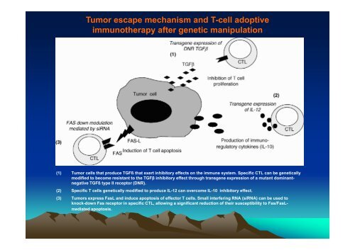 TUMOR IMMUNOLOGY.pdf