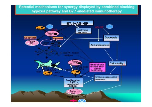 TUMOR IMMUNOLOGY.pdf