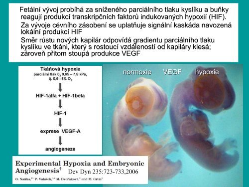 Gr - AnatomickÃ½ Ãºstav 1.LF UK