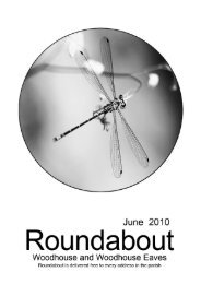 Roundabout Jun 2010 - Woodhouse Parish Council