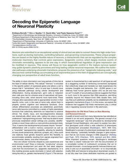 Decoding the Epigenetic Language of Neuronal Plasticity