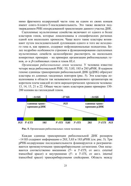 ÐÐÐÐÐ¢ÐÐÐ Ð§ÐÐÐÐÐÐÐ - ÐÐÐ£. Ð¡Ð°Ð¹Ñ Ð±Ð¸Ð¾Ð»Ð¾Ð³Ð¸ÑÐµÑÐºÐ¾Ð³Ð¾ ÑÐ°ÐºÑÐ»ÑÑÐµÑÐ°