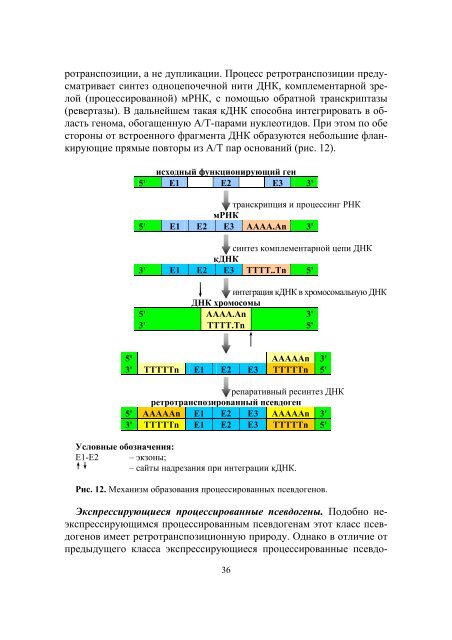 ÐÐÐÐÐ¢ÐÐÐ Ð§ÐÐÐÐÐÐÐ - ÐÐÐ£. Ð¡Ð°Ð¹Ñ Ð±Ð¸Ð¾Ð»Ð¾Ð³Ð¸ÑÐµÑÐºÐ¾Ð³Ð¾ ÑÐ°ÐºÑÐ»ÑÑÐµÑÐ°