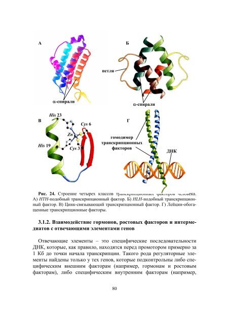 ÐÐÐÐÐ¢ÐÐÐ Ð§ÐÐÐÐÐÐÐ - ÐÐÐ£. Ð¡Ð°Ð¹Ñ Ð±Ð¸Ð¾Ð»Ð¾Ð³Ð¸ÑÐµÑÐºÐ¾Ð³Ð¾ ÑÐ°ÐºÑÐ»ÑÑÐµÑÐ°