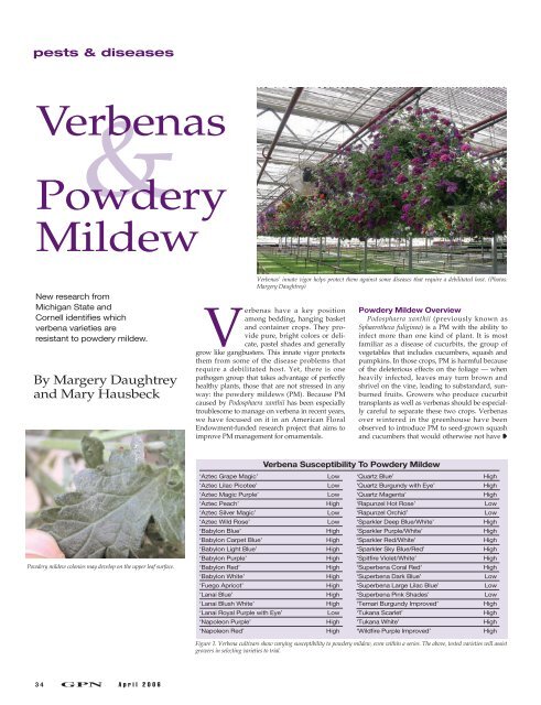 Verbenas Powdery Mildew Greenhouse Product News