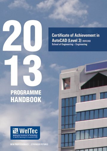 1 programme handbook - Wellington Institute of Technology