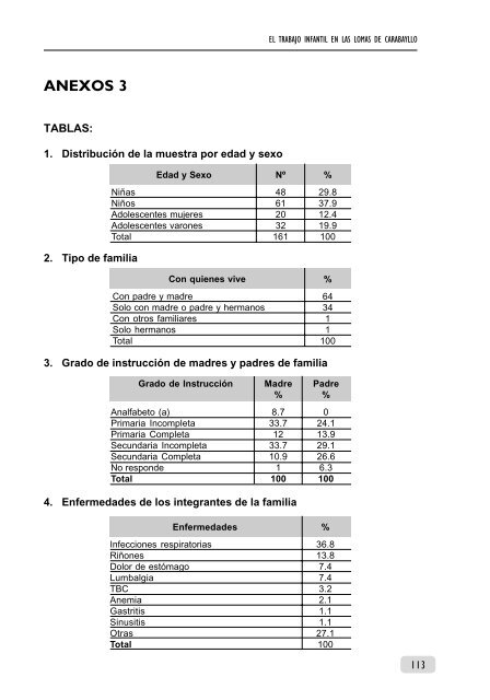 El Trabajo Infantil en las Lomas de Carabayllo