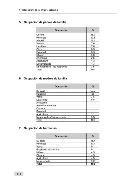 El Trabajo Infantil en las Lomas de Carabayllo