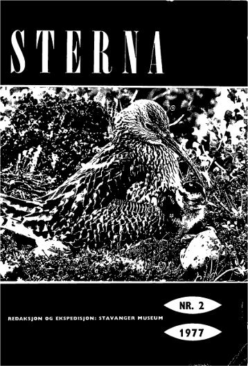 Sterna, bind 16 nr 2 (PDF-fil) - Museum Stavanger