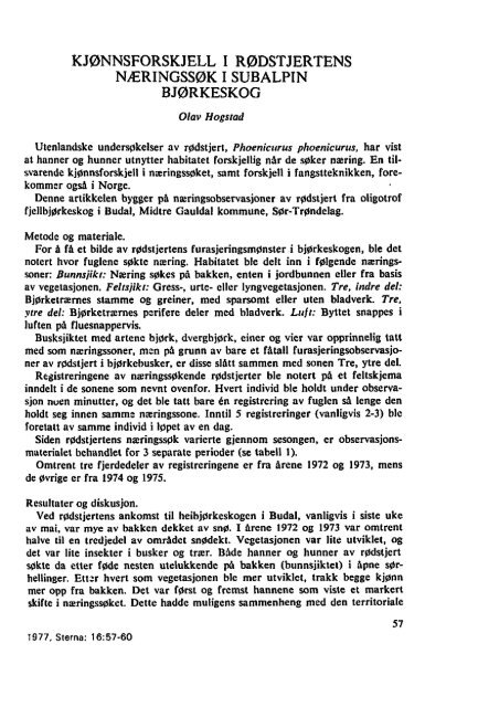 Sterna, bind 16 nr 2 (PDF-fil) - Museum Stavanger