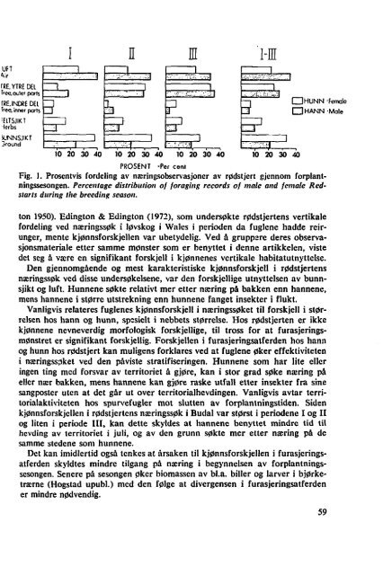 Sterna, bind 16 nr 2 (PDF-fil) - Museum Stavanger