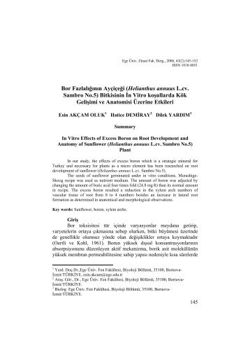 Esin AKÃAM OLUK, Hatice DEMÄ°RAY, Dilek YARDIM