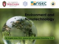 Environment and Nanotechnology - Institute for Chemical Education