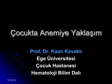 Ãocuklarda demir eksikliÄi anemisi - Ege Ãniversitesi