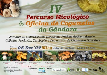 IV Percurso MicolÃƒÂ³gico & Oficina de Cogumelos da GÃƒÂ¢ndara: SÃƒÂ­tio ...