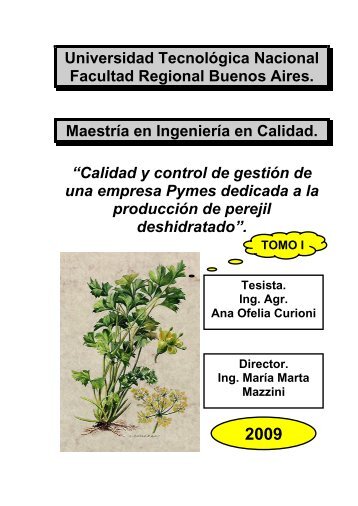 Calidad y Control de GestiÃ³n de una Empresa PyMEs Dedicada a la ...