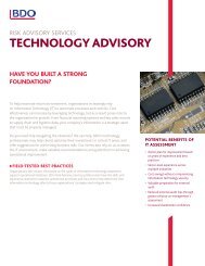 technology advisory - BDO Consulting