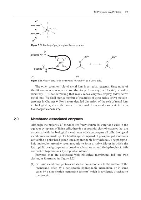 Introduction to Enzyme and Coenzyme Chemistry - E-Library Home