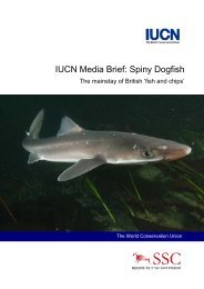 IUCN Media Brief: Spiny Dogfish