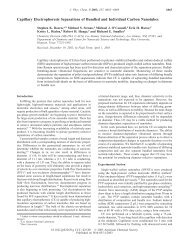 Capillary Electrophoresis Separations of Bundled ... - Rice University