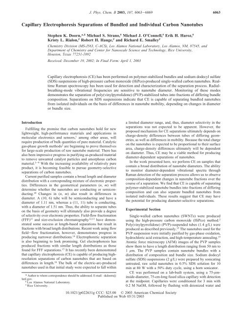 Capillary Electrophoresis Separations of Bundled ... - Rice University