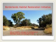 Borderlands Habitat Restoration Initiative - Sonoran Institute