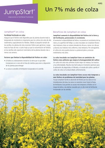 JumpStart canola fact sheet - Spanish - Novozymes